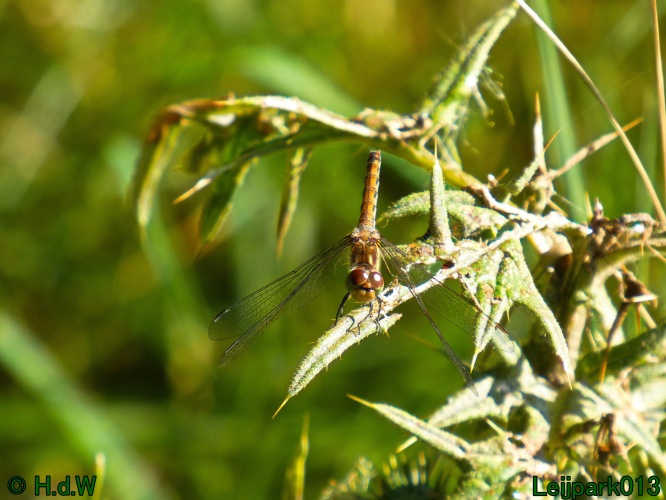 22 &amp; 23 &amp; 24 &amp; 25 augustus 2024