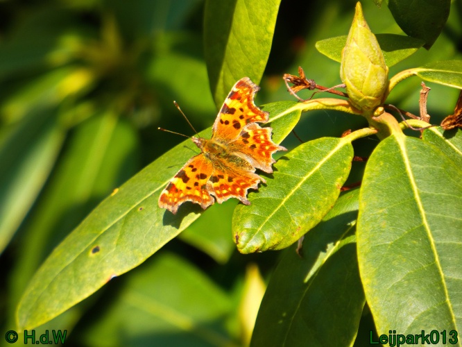 3 &amp; 4 &amp; 5 &amp; 6 april 2025