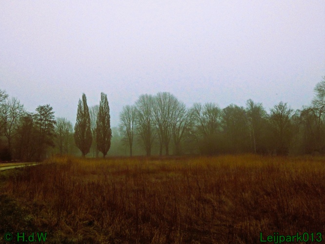 21 &amp; 22 &amp; 23 &amp; 24 januari 2025