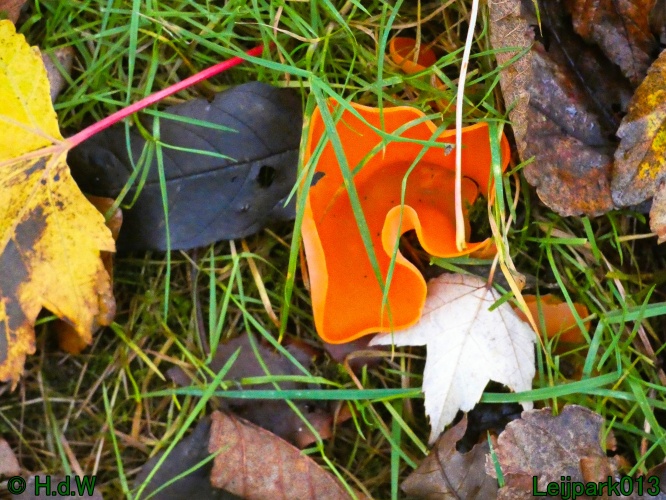 22 &amp; 23 &amp; 24 &amp; 25 november 2024