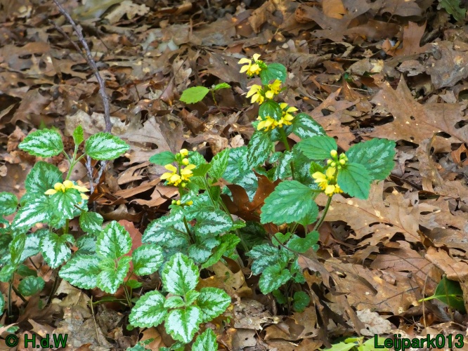 19 &amp; 20 &amp; 21 &amp; 22 maart 2025