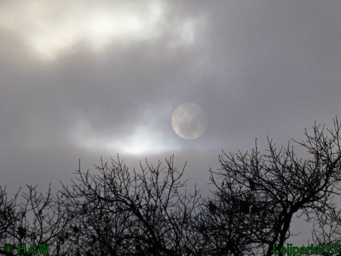 10 &amp; 11 &amp; 12 &amp; 13 november 2024