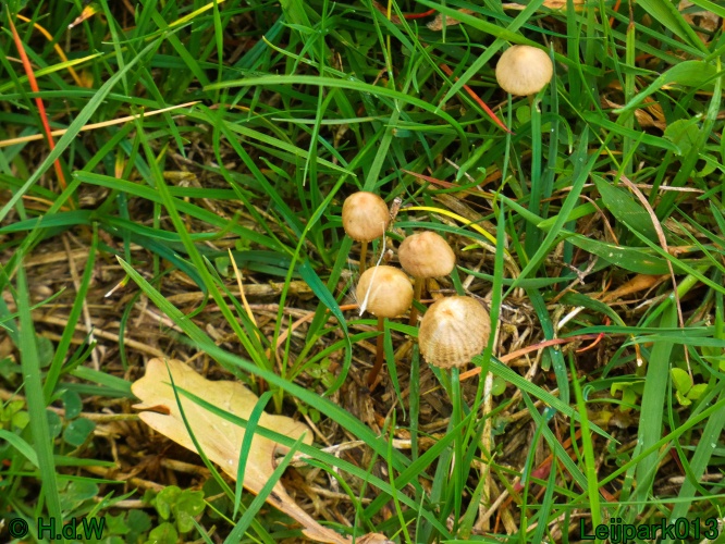 28 &amp; 29 &amp; 30 &amp; 31 oktober 2025