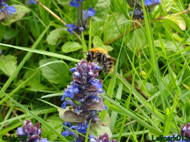 30 april 1 &amp; 2 &amp; 3 mei 2024