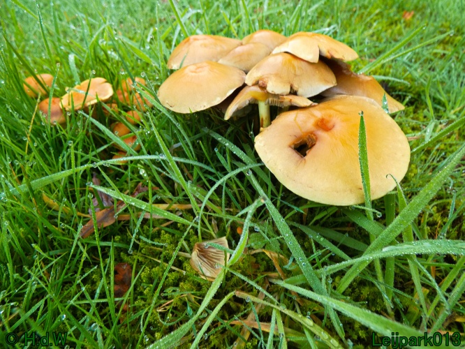 21 &amp; 22 &amp; 23 &amp; 24 oktober 2024