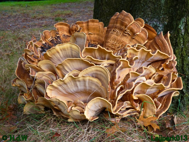 1 &amp; 2 &amp; 3 &amp; 4 oktober 2024