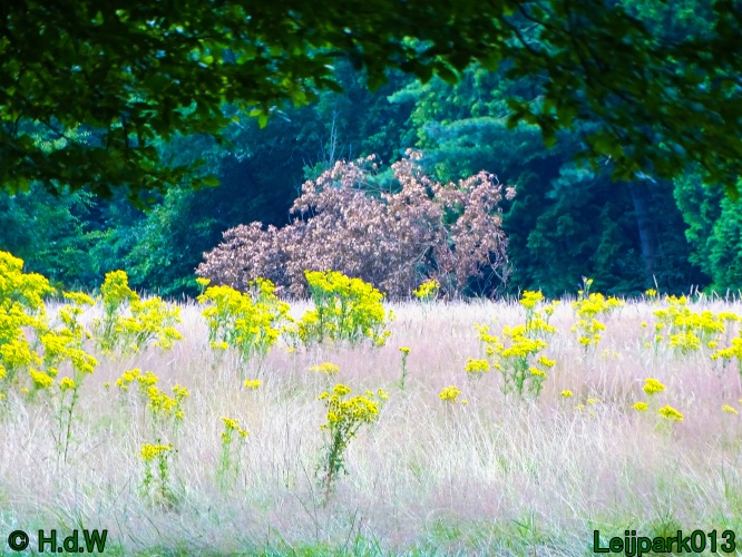 29 &amp; 30 &amp; 31 juli &amp; 1 augustus 2024