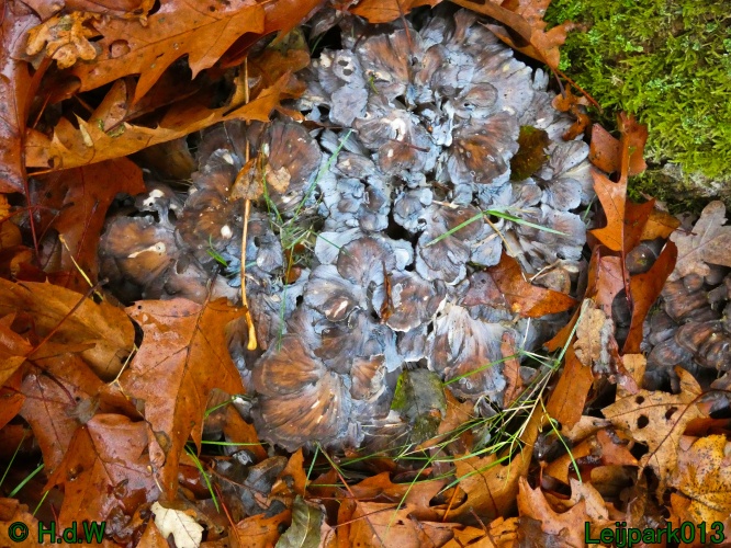 22 &amp; 23 &amp; 24 &amp; 25 november 2024