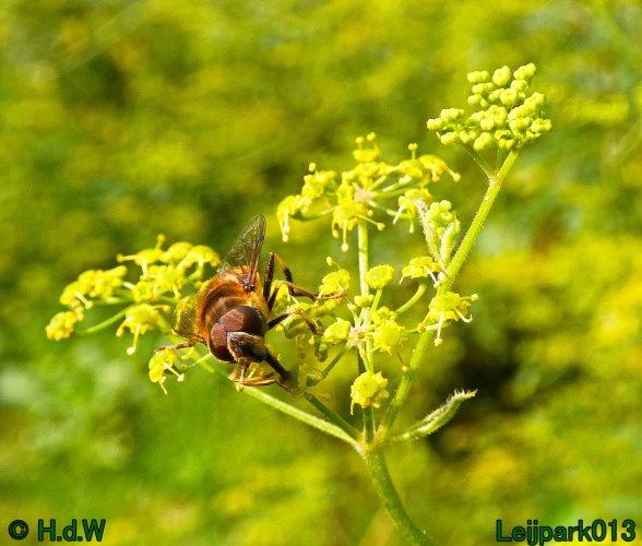 10 &amp; 11 &amp; 12 &amp; 13 augustus 2024