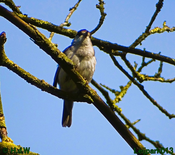 5 &amp; 6 &amp; 7 &amp; 8 juli 2024