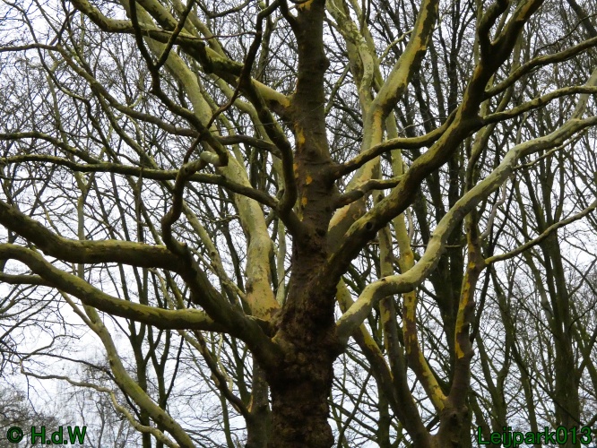 16 &amp; 17 &amp; 18 &amp; 19 december 2024