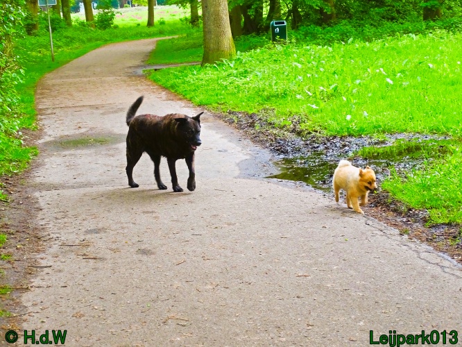 Beestenboel 12 mei 2024