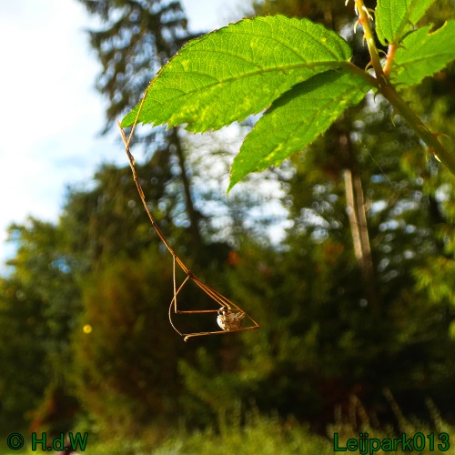 1 &amp; 2 &amp; 3 &amp; 4 oktober 2024