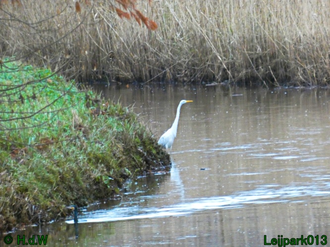 20 &amp; 21 &amp; 22 &amp; 23 december 2024