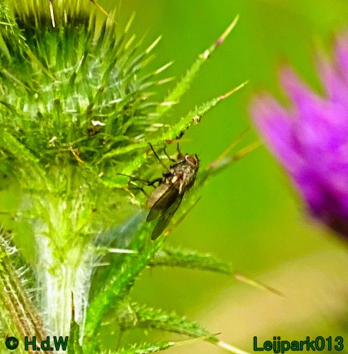 27 &amp; 28 &amp; 29 &amp; 30 juni 2024