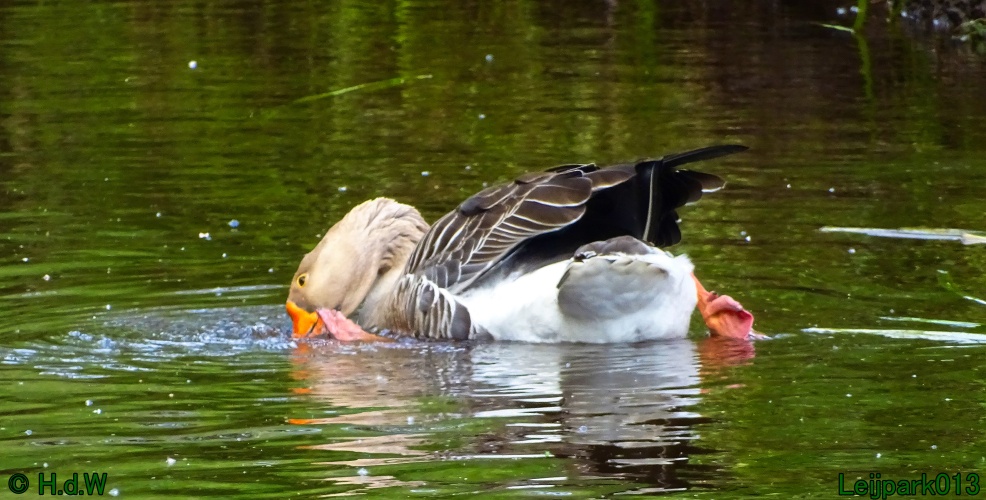 11 &amp; 12 &amp; 13 &amp; 14 juni 2024