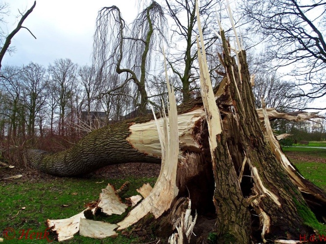 Storm terug in de tijd
