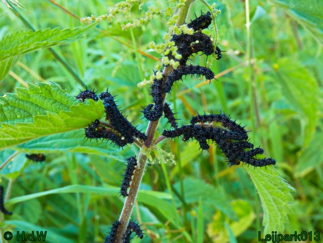 22 &amp; 23 &amp; 24 &amp; 25 augustus 2024