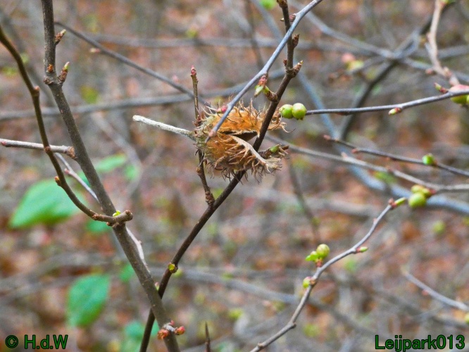 9 &amp; 10 &amp; 11 &amp; 12 januari 2025