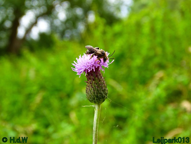 5 &amp; 6 &amp; 7 &amp; 8 juli 2024