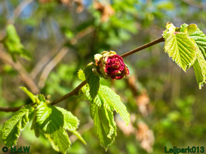 3 &amp; 4 &amp; 5 &amp; 6 april 2025