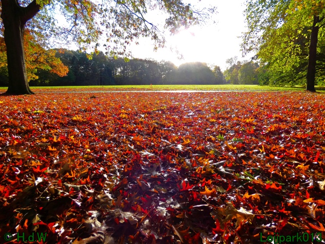 28 &amp; 29 &amp; 30 &amp; 31 oktober 2025