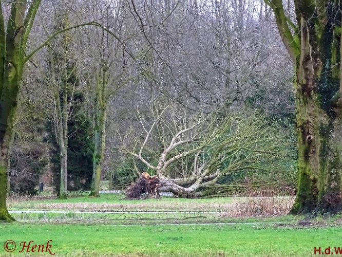 Storm terug in de tijd