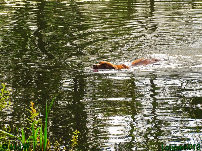 Beestenboel 12 mei 2024