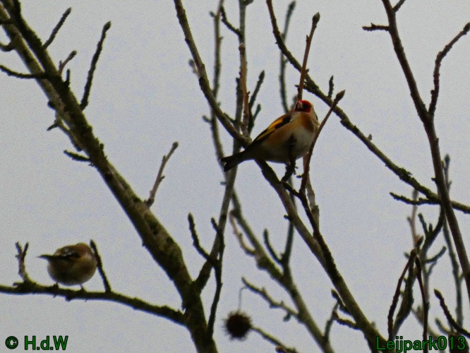 20 &amp; 21 &amp; 22 &amp; 23 december 2024