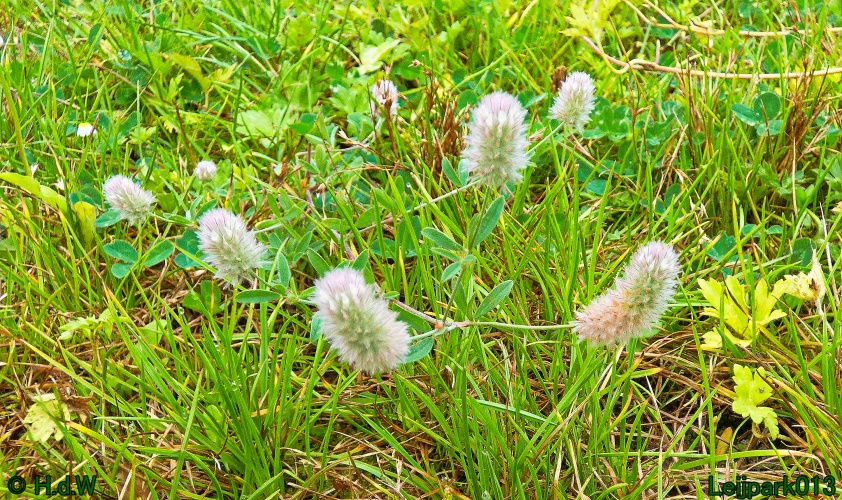 10 &amp; 11 &amp; 12 &amp; 13 augustus 2024