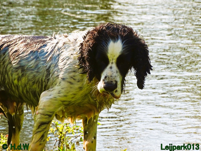 Beestenboel 12 mei 2024