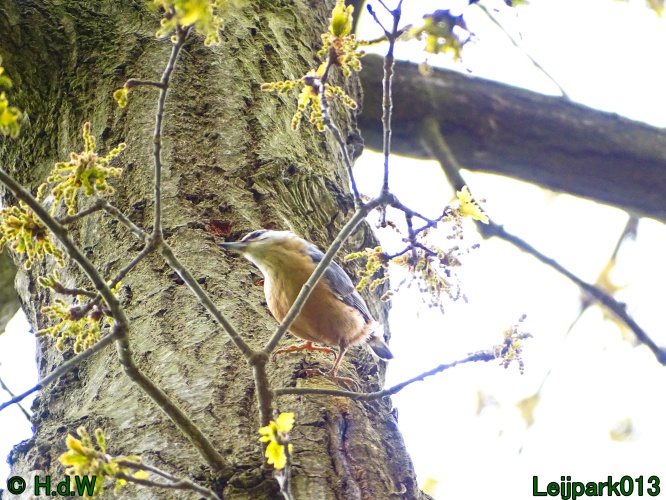 30 april 1 &amp; 2 &amp; 3 mei 2024