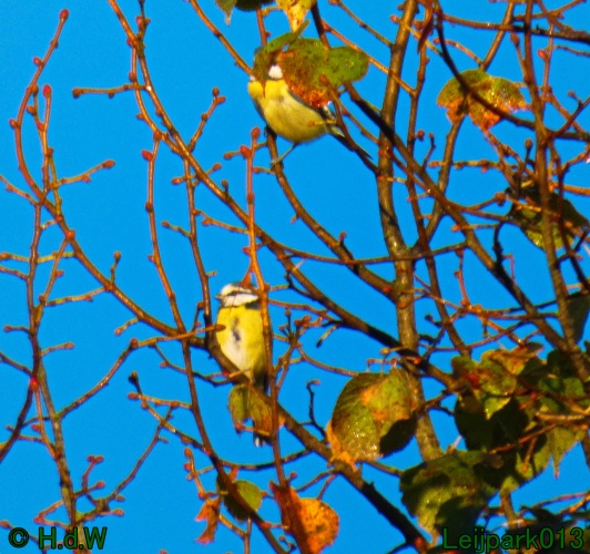 1 &amp; 2 &amp; 3 &amp; 4 oktober 2024