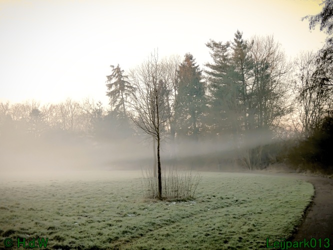 13 januari Mist en zon