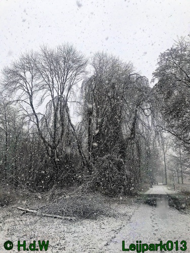 9 &amp; 10 &amp; 11 &amp; 12 januari 2025