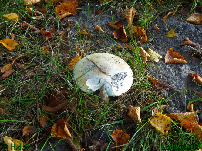 1 &amp; 2 &amp; 3 &amp; 4 oktober 2024