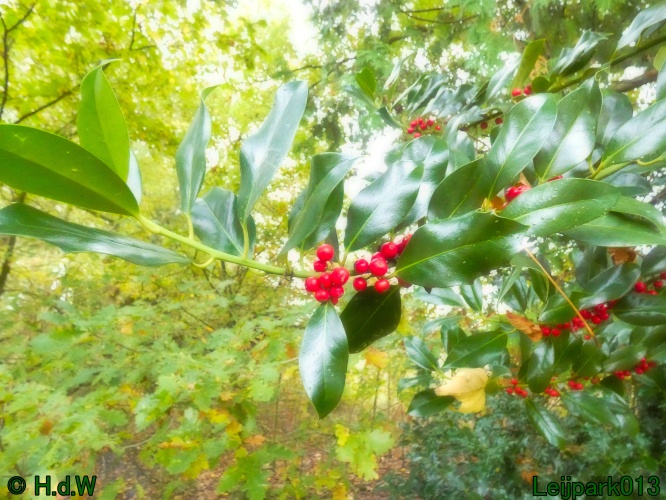 10 &amp; 11 &amp; 12 &amp; 13 november 2024