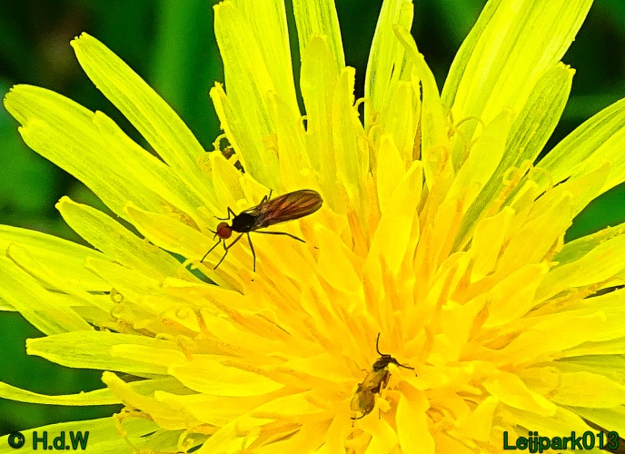 30 april 1 &amp; 2 &amp; 3 mei 2024