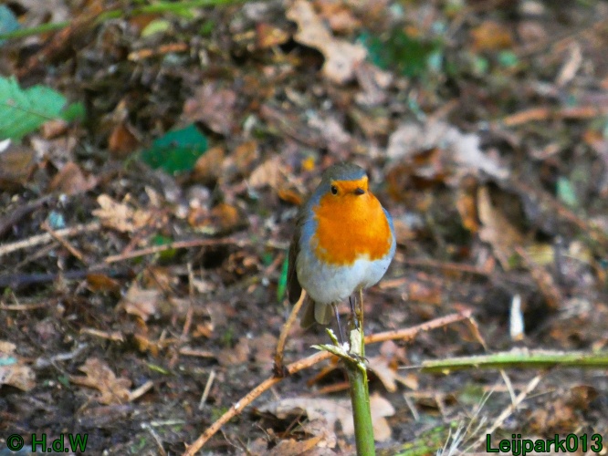 28 &amp; 29 &amp; 30 &amp; 31 oktober 2025