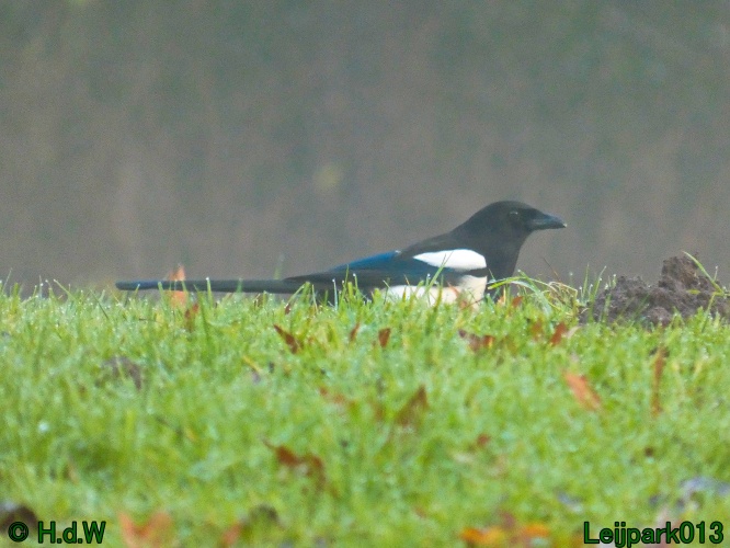 1 &amp; 2 &amp; 3 &amp; 4 januari 2025