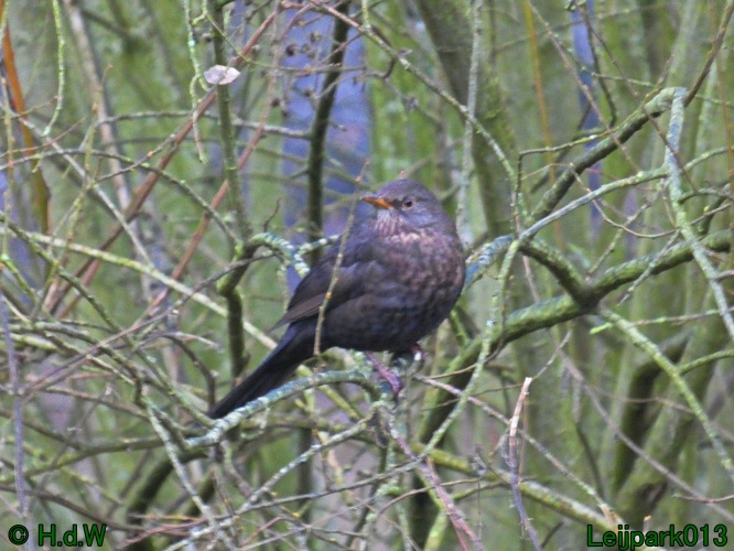 1 &amp; 2 &amp; 3 &amp; 4 januari 2025