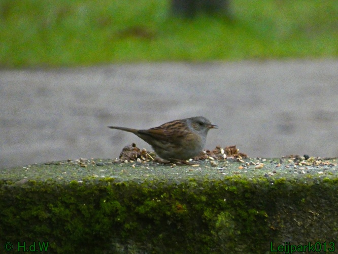 21 &amp; 22 &amp; 23 &amp; 24 januari 2025