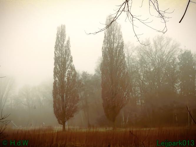 21 &amp; 22 &amp; 23 &amp; 24 januari 2025