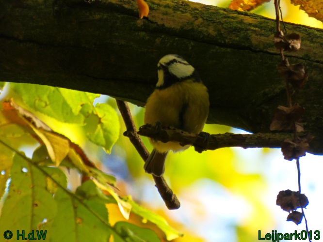 2 &amp; 3 &amp; 4 &amp; 5 November 2024