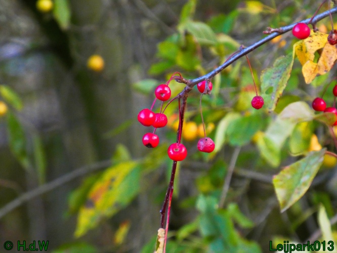 1 &amp; 2 &amp; 3 &amp; 4 oktober 2025