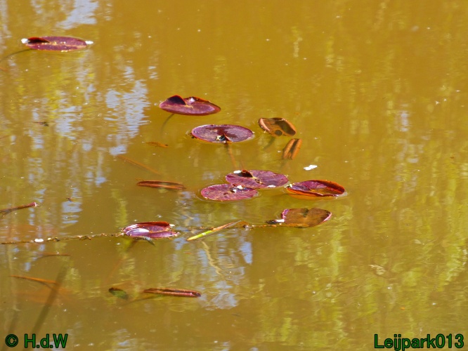 19 &amp; 20 &amp; 21 &amp; 22 maart 2025