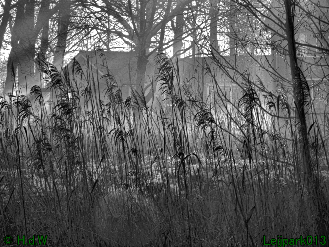 13 januari Mist en zon