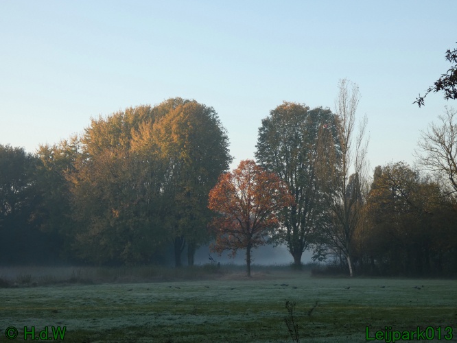 3 november 2024 Vanmorgenwas er mist in het Leijpark