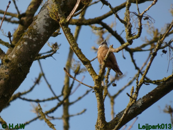 19 &amp; 20 &amp; 21 &amp; 22 maart 2025