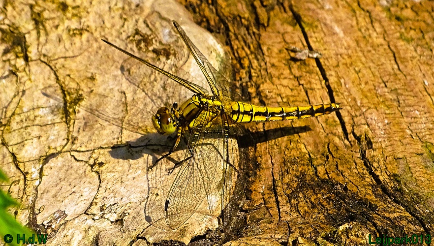 11 &amp; 12 &amp; 13 &amp; 14 juni 2024